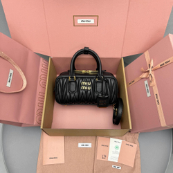 Miu Miu Arcadie Bag 22 cm