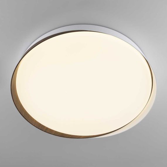 Потолочный светодиодный светильник Citilux Bonny CL754450G