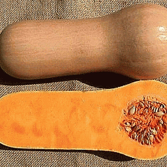 Страдивари семена тыквы (Гавриш) – фото 4