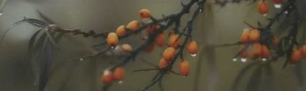 Декор Тракай 6 глянцевый (OS\A118\9016)