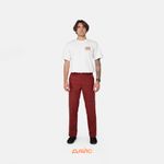  Брюки мужские Dickies Skateboarding Double Knee Pants артикул:WPSK96IK9 - купить в магазине Дайс
