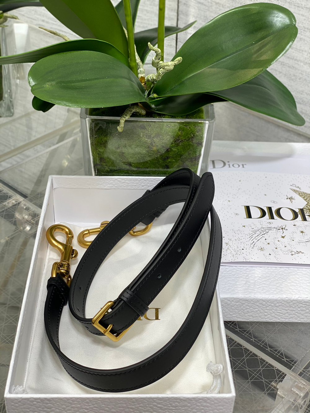 Christian Dior Saddle Bag with Strap