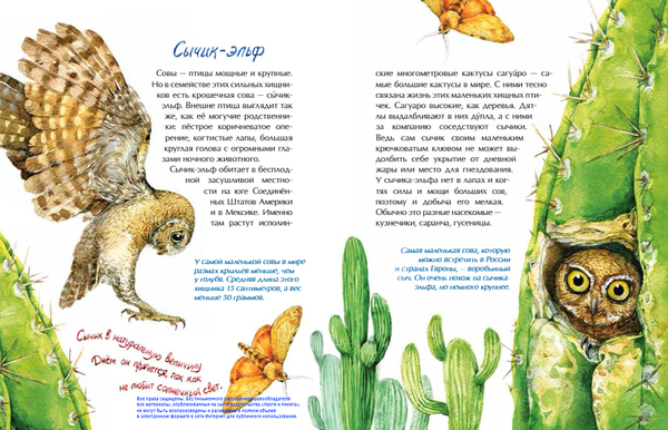 Птички-невелички. Кто на свете меньше всех?