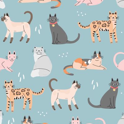 Породистые котики на голубом