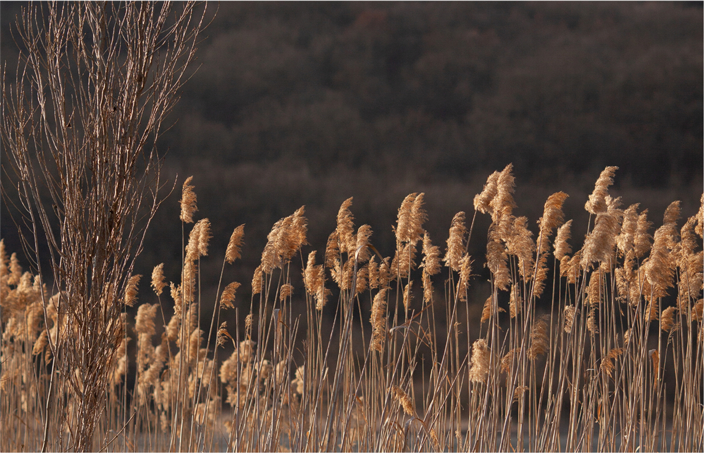 Верхняя одежда на осень и зиму