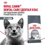 ROYAL CANIN (Роял Канин) Dental Care Корм сухой для взрослых кошек для профилактики образования зубного налета и зубного камня, 400 г