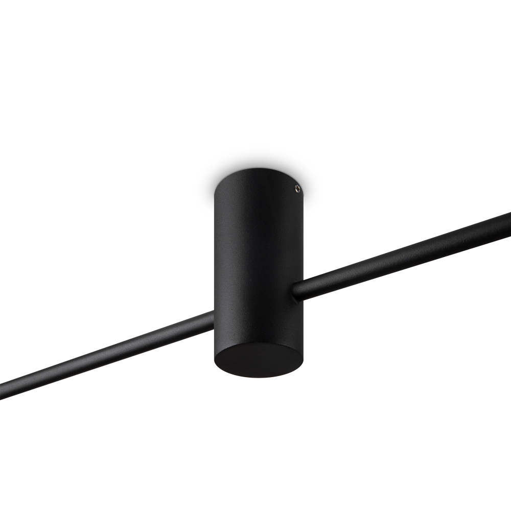 Потолочный светильник Freya FR5363CL-02B1