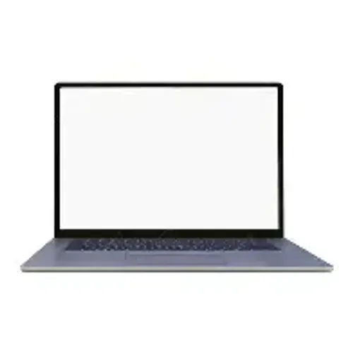OIP.webp