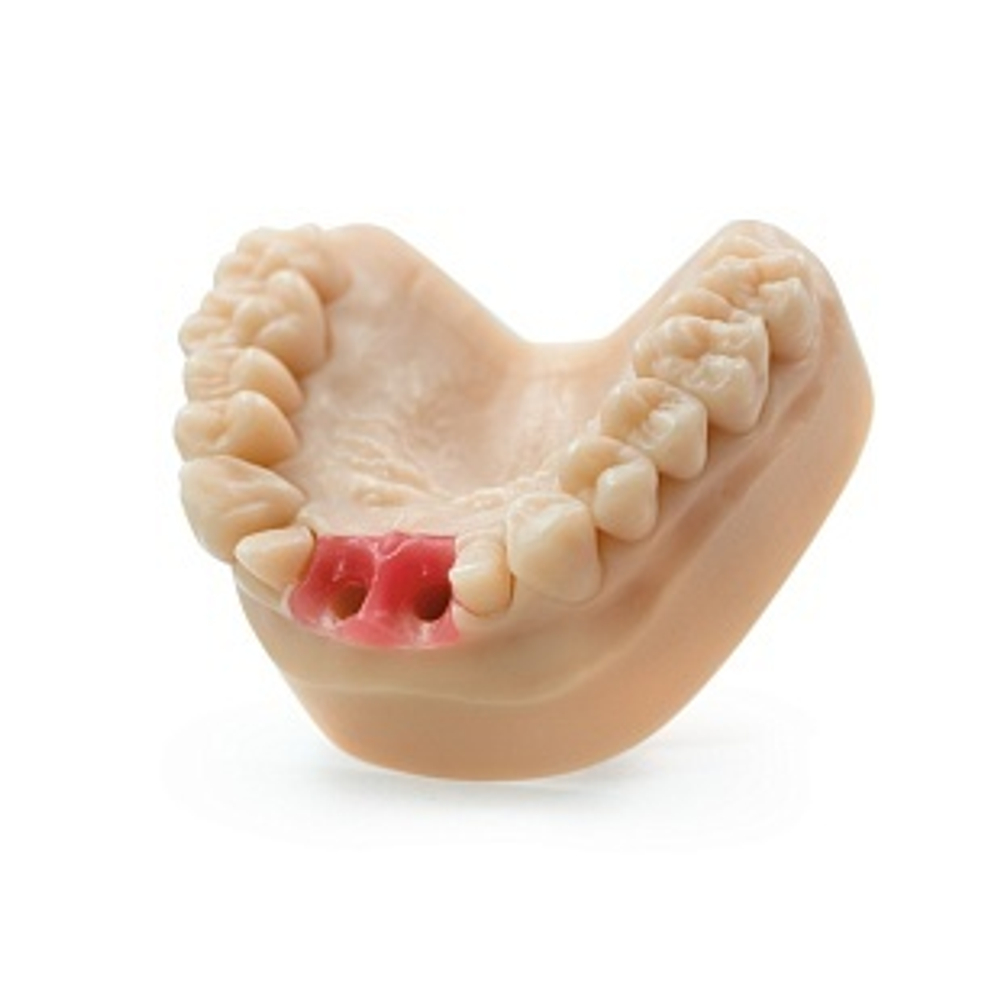 Dental Soft Pink