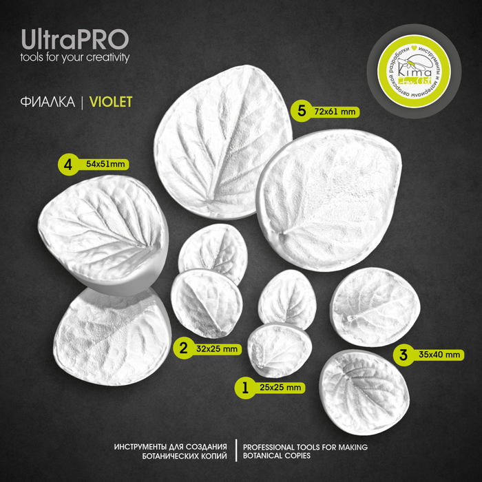 Фиалка комнатная