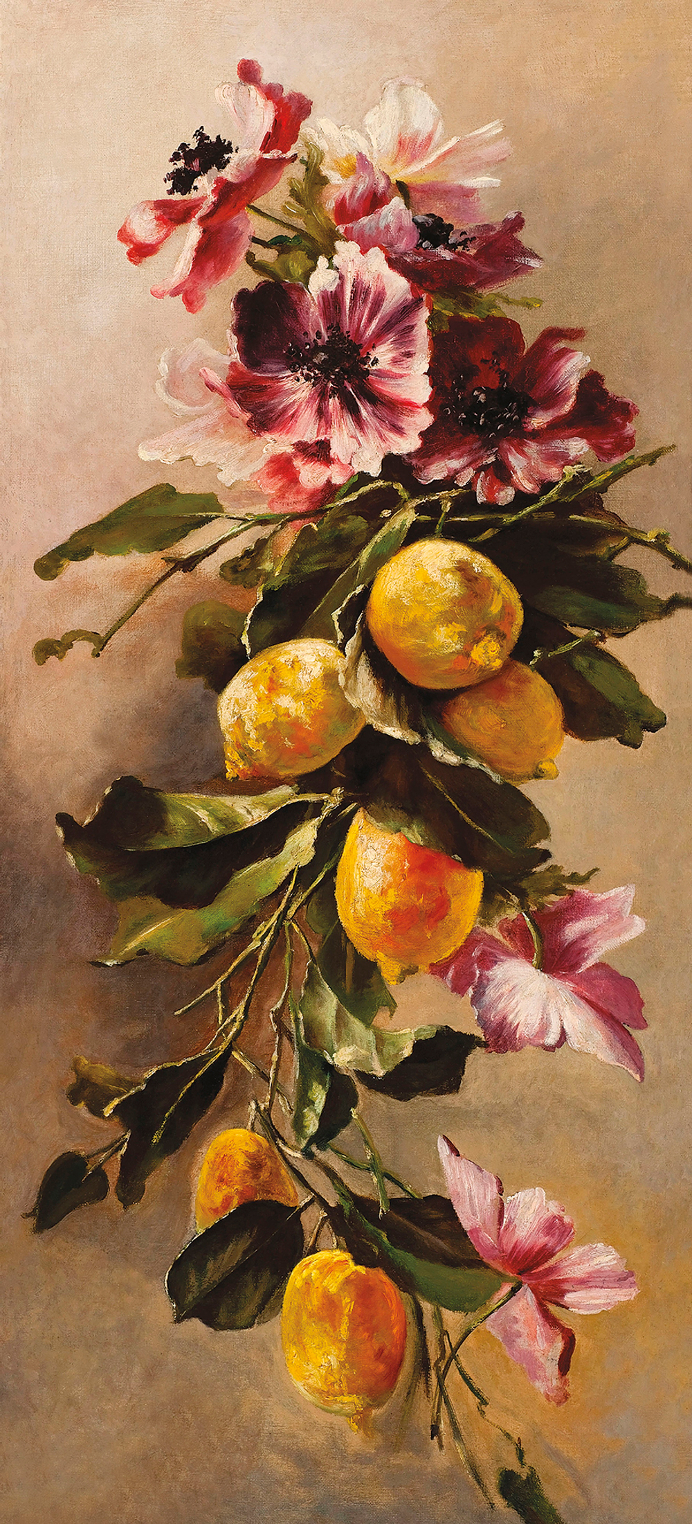 Коллекция Натюрморт