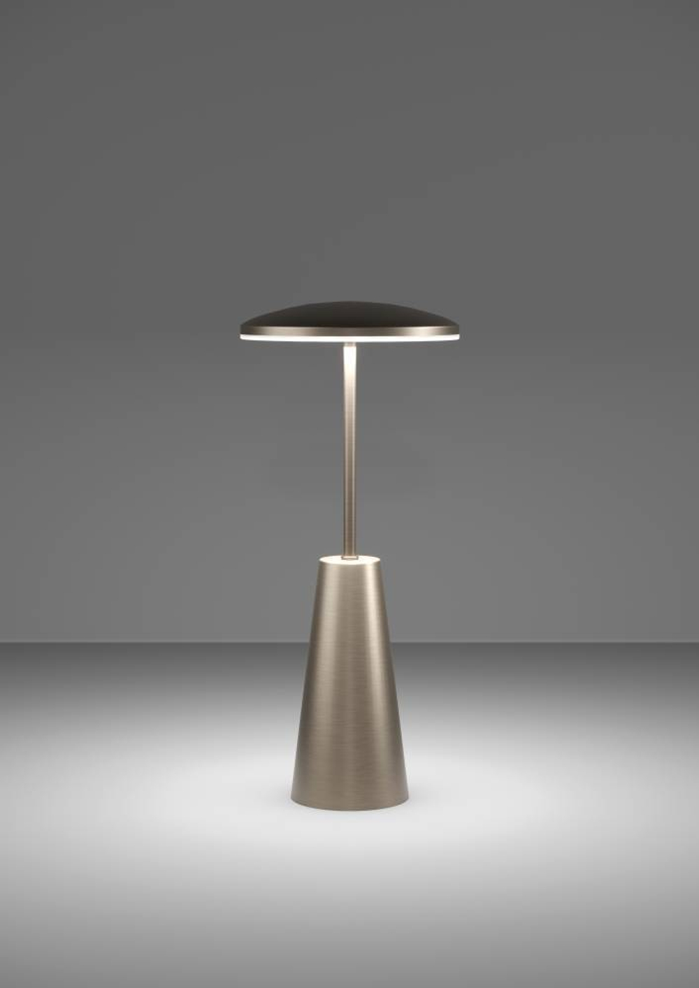 Аккумуляторная настольная лампа Eglo PICCOLA 900924