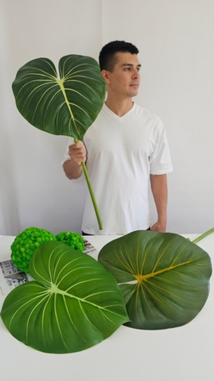 Лист филодендрона / Арт 9087