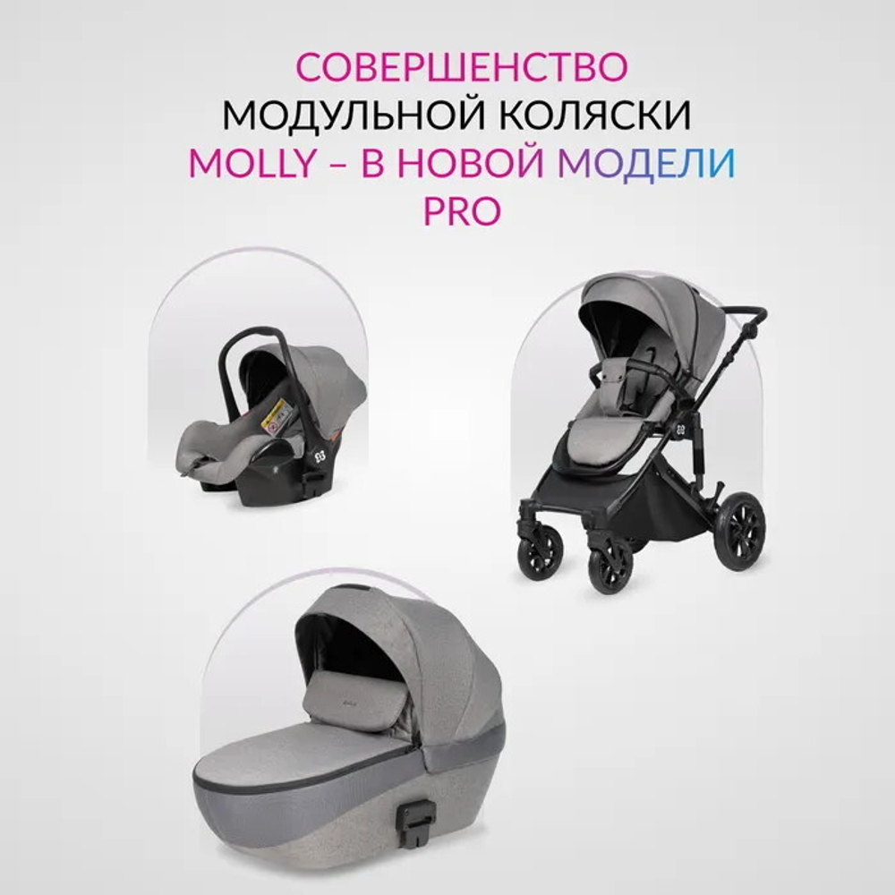 Детская коляска Farfello Molly Pro 3 в 1 серый