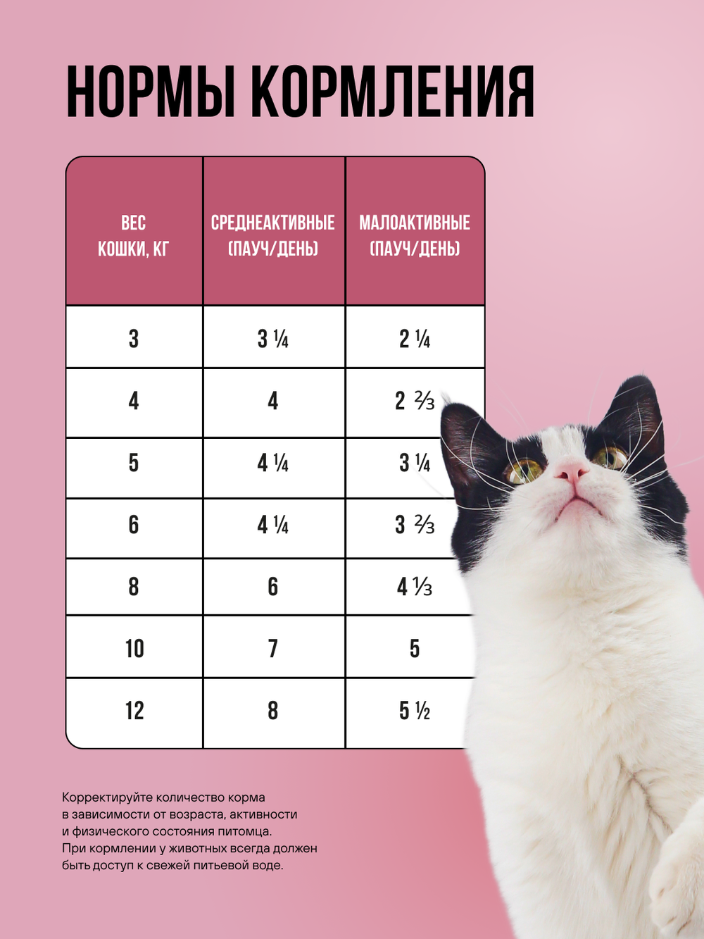 Влажный корм для стерилизованных кошек беззерновой с телятиной и овощами в соусе BOWL WOW 0,085 г. 12 упаковок