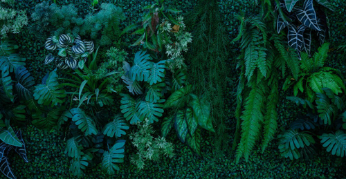 Дизайнерские №615 Фотообои и Фрески