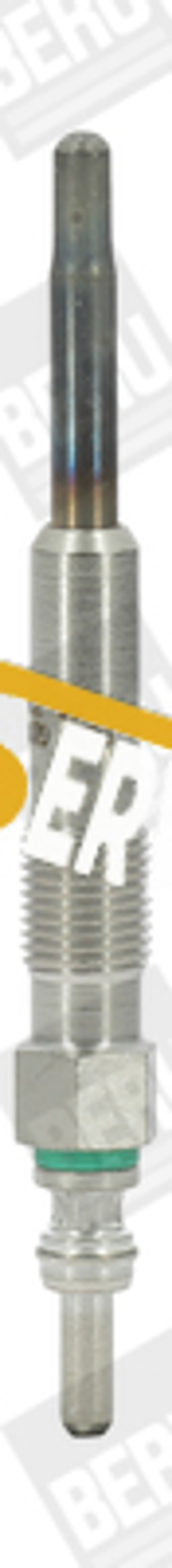 BorgWarner (BERU) - GN046