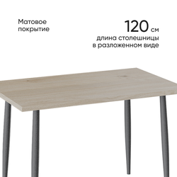 Стол обеденный Невада ДП1-02-08 конус Дуб Эврика/Графит 120х75х75, Дисконт (Невозвратный товар!)