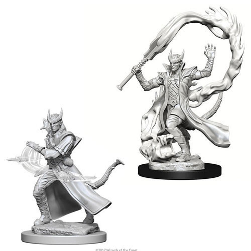 D&D Nolzur's Marvelous Miniatures - Male Tiefling Sorcerer D&D Nolzur's Marvelous Miniatures - Male Tiefling Sorcerer