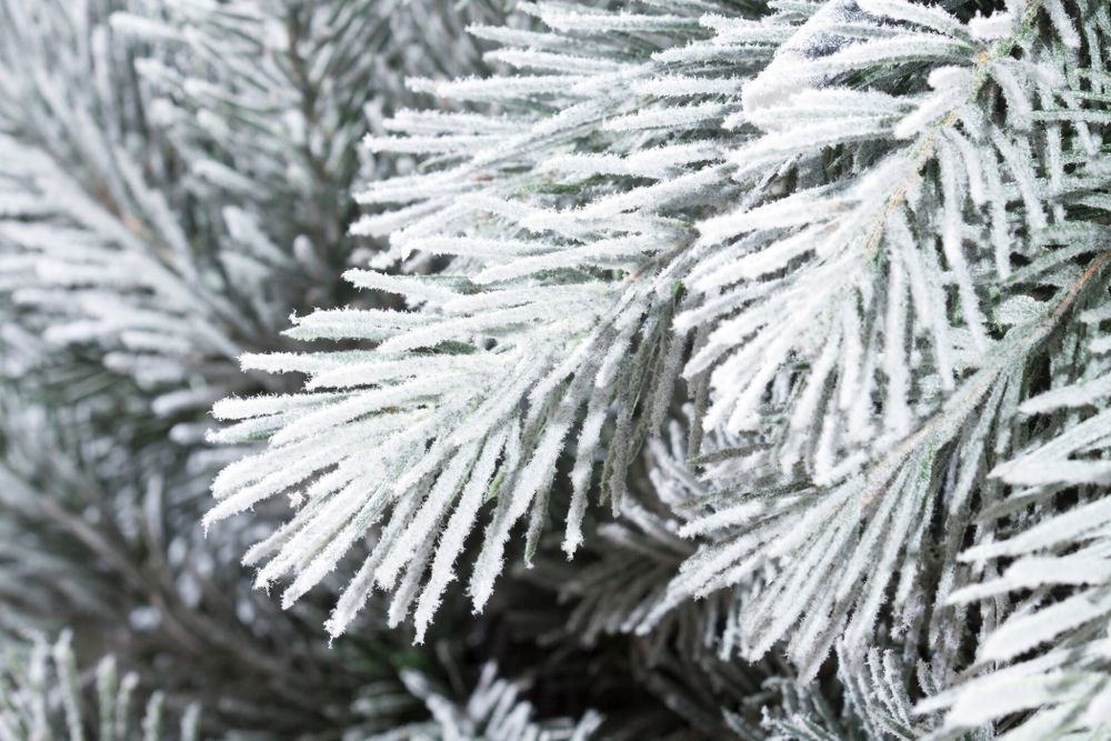 Заснеженная елка с гирляндой встроенной «Летиция» (Литая хвоя) 250 см / 2,5 м