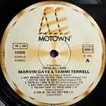 Marvin Gaye / Tammi Terrell ‎– You're All I Need (Франция 1981г.)