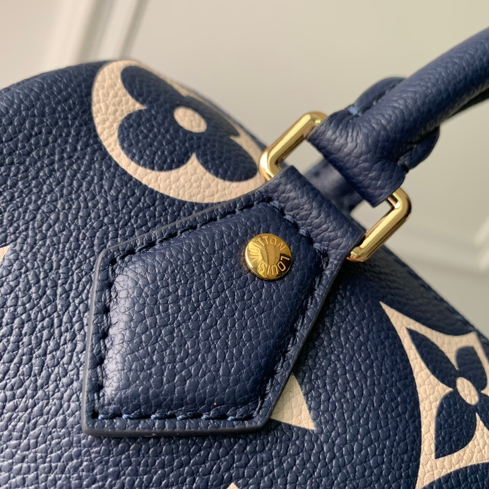 Louis Vuitton Speedy 20