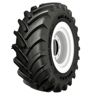 440/65R24 135D Earth-Pro Radial 651 R-1W TL ИНДИЯ