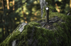 Фоанрь Armytek Wizard C2 Pro Olive White (F08701CO)