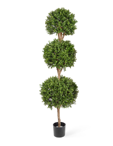 Самшит шар Тройной уличный 190 см