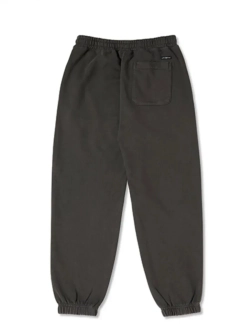 Брюки джоггеры с принтом salt washing