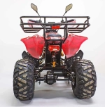 Электроквадроцикл Green Camel Атакама T500 (60V 1500W R8 Дифференциал)