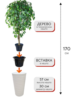 Искусственное дерево Фикус Зеленый 170 см в высоком круглом белом кашпо