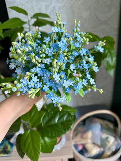 Веточка незабудки (1 шт)