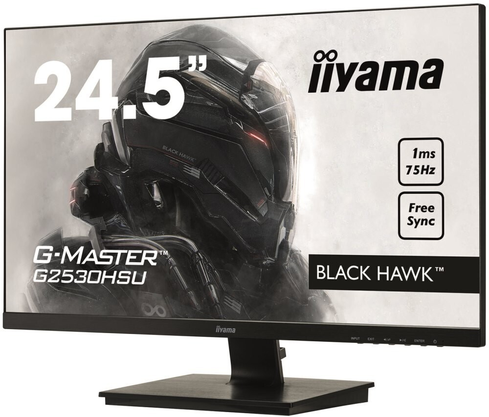 Монитор 24.5" Iiyama G-Master (G2530HSU-B1)