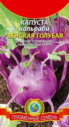 Кольраби
