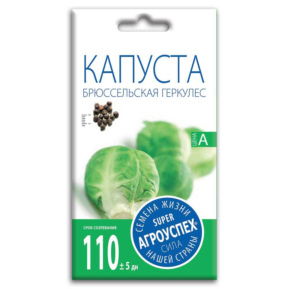 kapusta_bryusselskaya_gerkules_semena_agrouspekh_0_5g