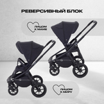 Детская коляска Rant Flex 3 в 1 RA077 Black