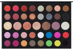 Morphe 39L palette