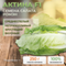 АКТИНА семена салата Syngenta семена