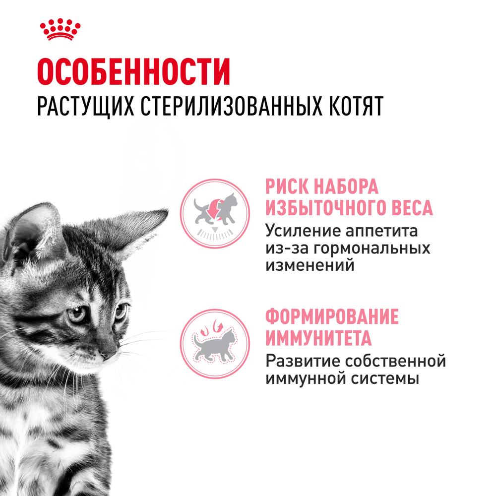 Корм консервированный ROYAL CANIN полнорационный для кастрированных и стерилизованных котят KITTEN STERILISED (КИТТЕН СТЕРИЛАЙЗД), мелкие кусочки в соусе - 85 гр