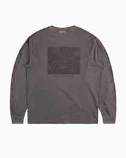 Лонгслив Carhartt WIP L/S Terrestrial T-Shirt