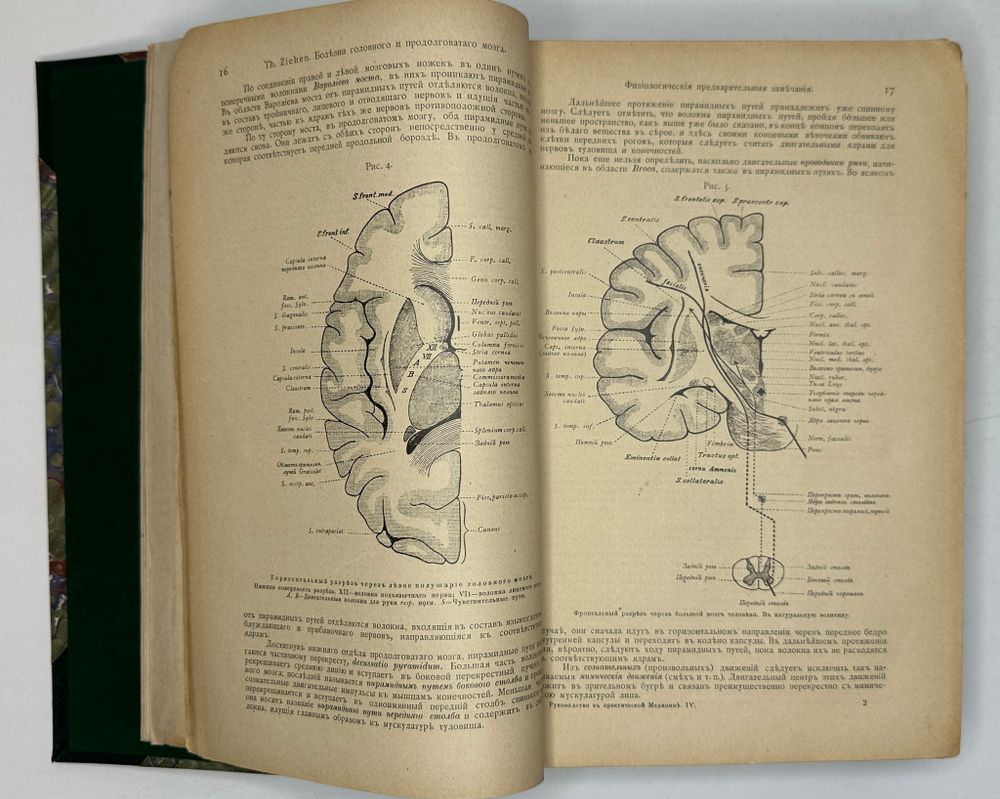 Руководство по практической медицине. Болезни нервной системы, проф. А.Х. Кузнецова, Харьков,1901г.