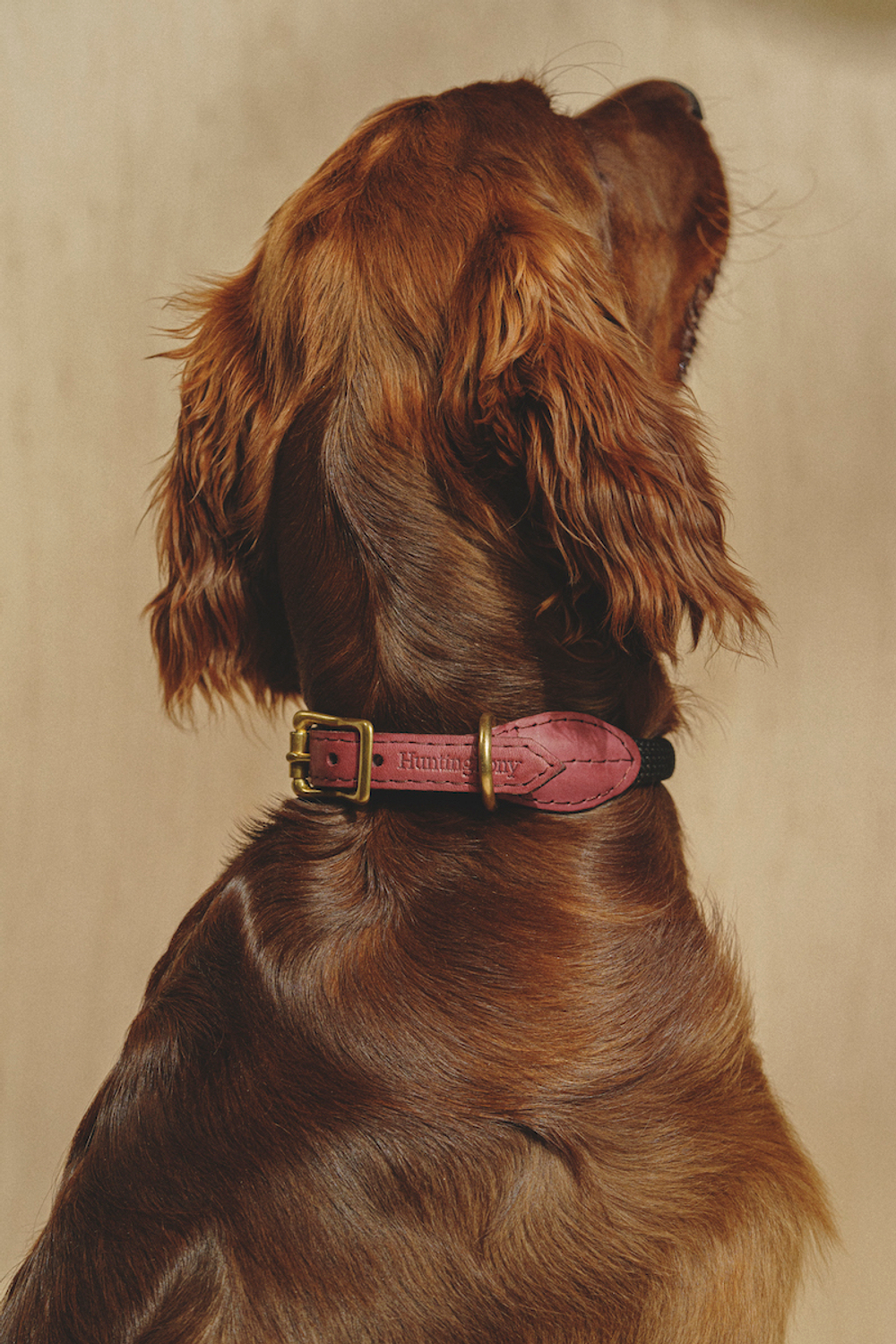 Ошейник "Пони-Макарони" Винный