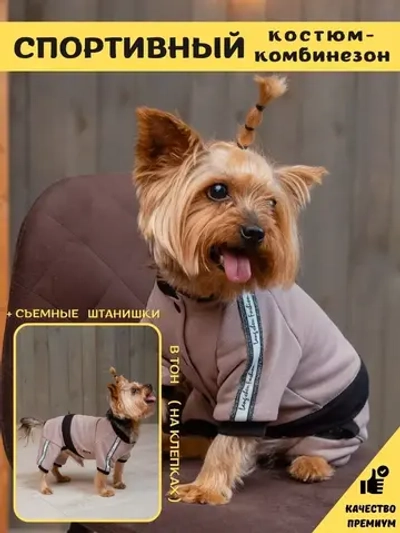 Спортивный комбинезон костюм для собак