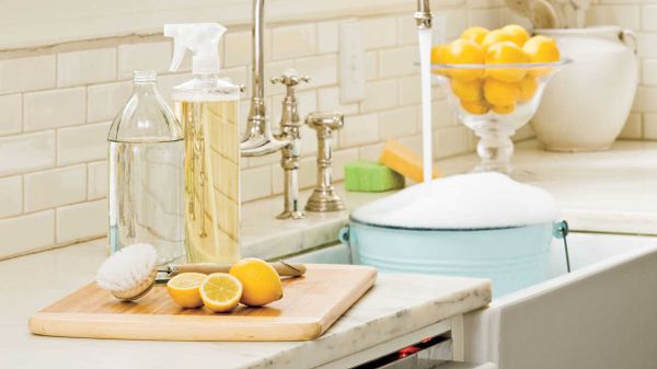 Мытье сантехники и ванной комнаты народными средствами: вредно или допустимо?