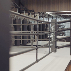 Ринг боксерский TARGEX на помосте высотой 0,5 м