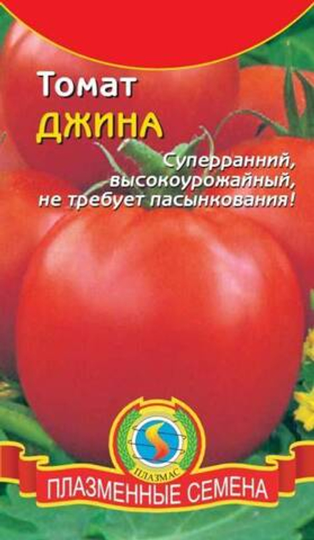 Томат Джина