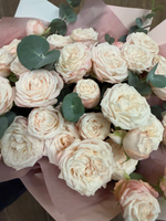 Пионовидные кустовые розочки 💕