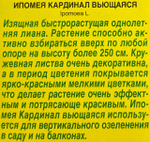Ипомея Кардинал вьющаяся СМЦ-514
