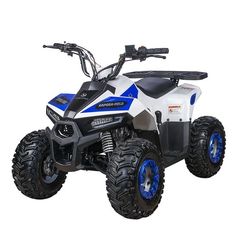 Квадроцикл YACOTA Raposa